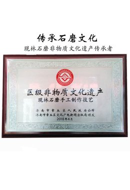 Honors and Qualifications